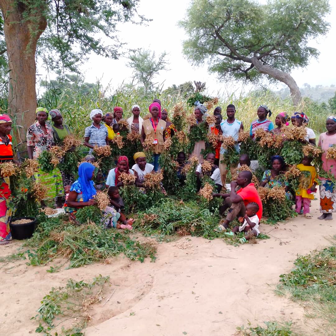 Sécurité alimentaire