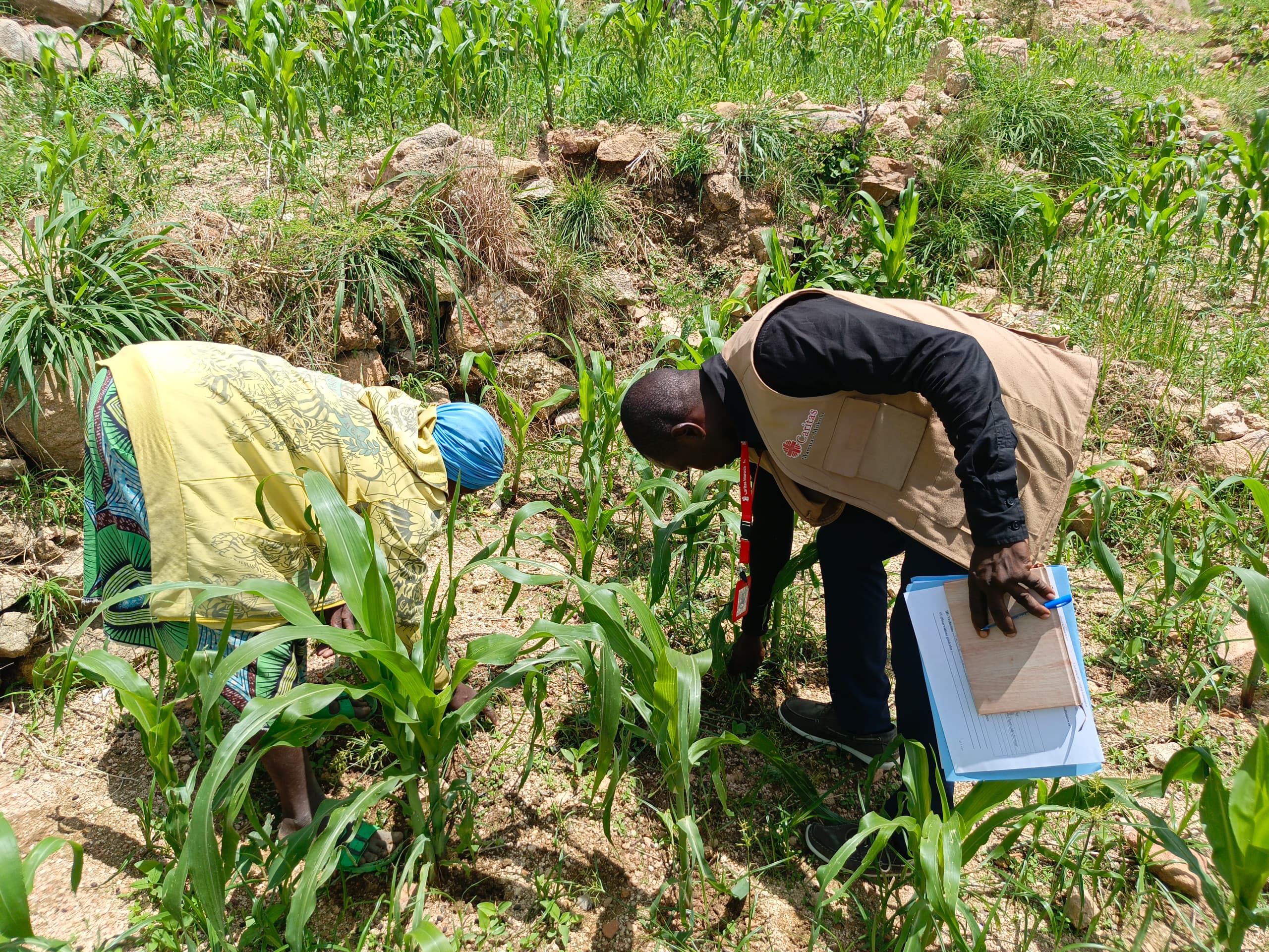 RELÈVEMENT PRÉCOCE